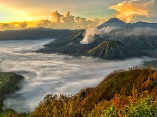 Superb view of National Park Bromo